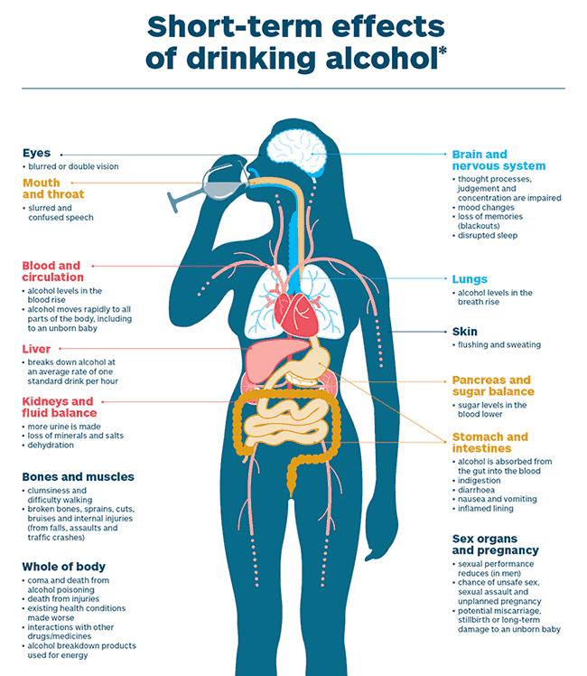 Short term effects of drinking alcohol