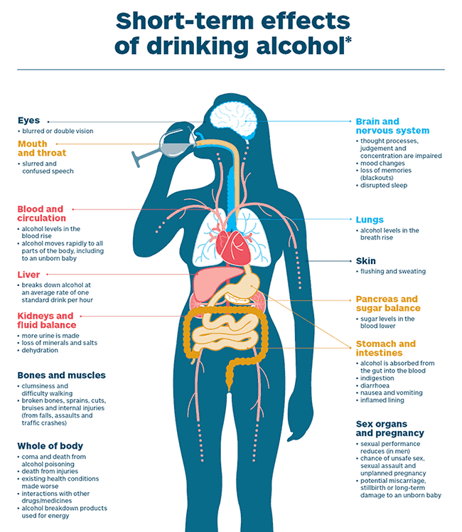 Effects of Alcohol on the Body