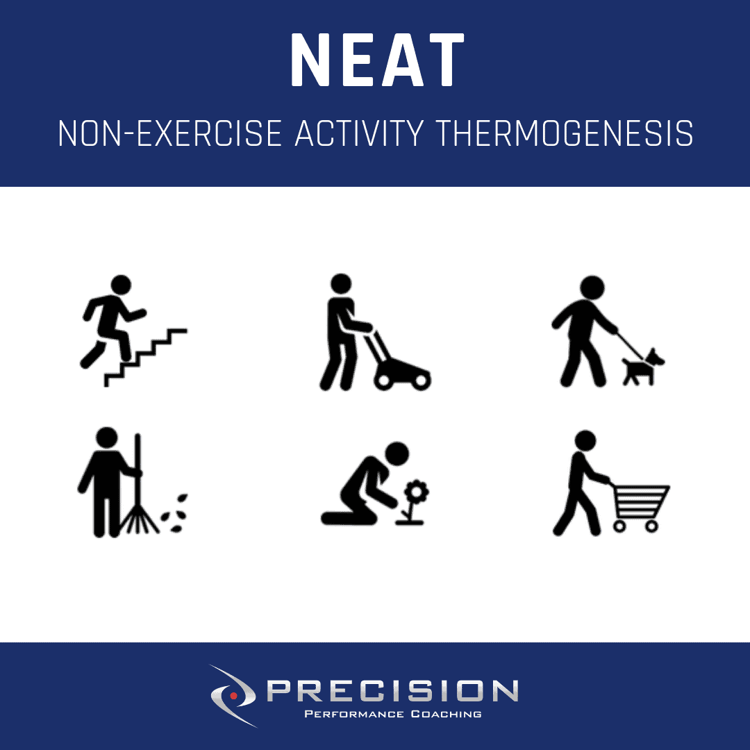 NEAT non exercise activity thermogenesis