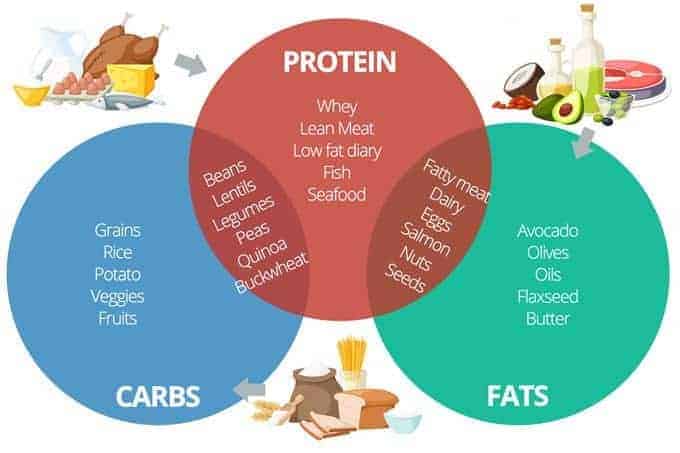 protein carbs fats macros